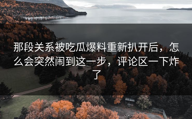 那段关系被吃瓜爆料重新扒开后，怎么会突然闹到这一步，评论区一下炸了